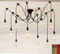 Industrial Style Stretched Branch Simple Decorative Chandelier