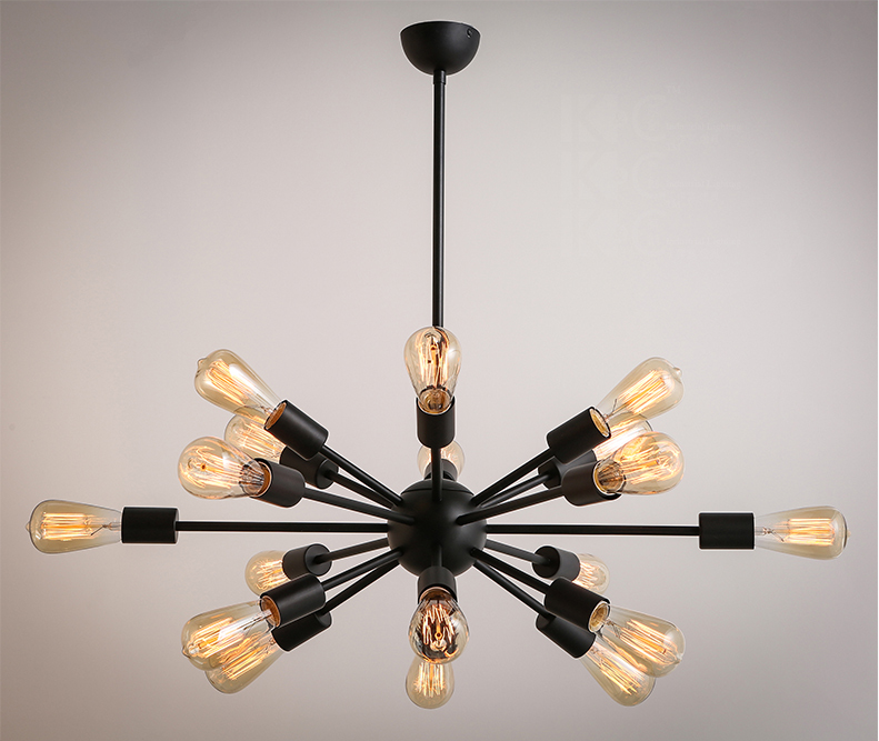 Shine Edison bulb light fixture for decorative vintage style home lighting